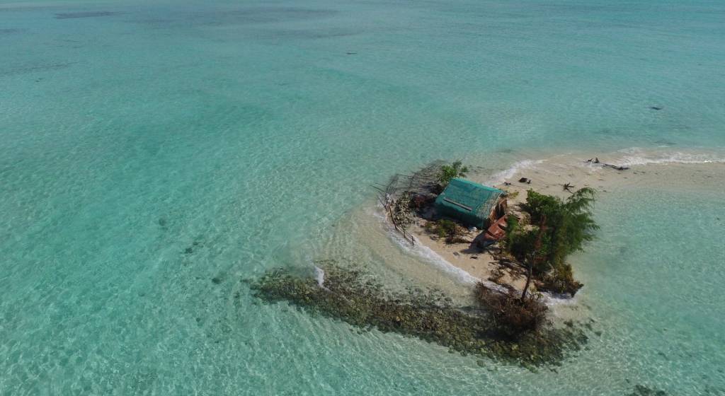 Mais de 1.500 ecossistemas costeiros sumirão se o planeta aquecer 2 graus