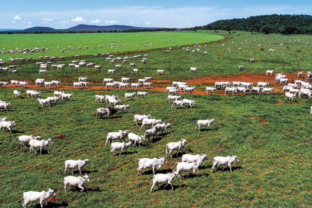 2a-D-1-FAZENDA.jpg 2a-D-1-FAZENDA.jpg