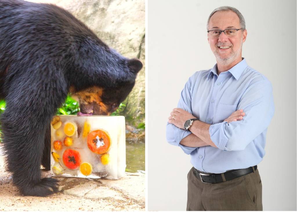As táticas do Bioparque para aliviar onda de calor nos animais