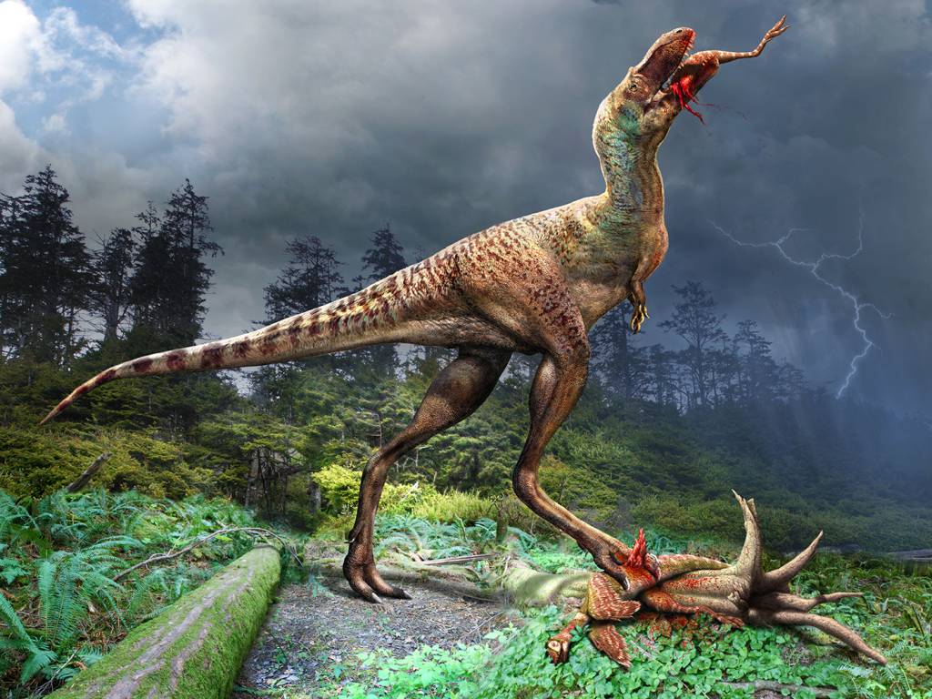16 Gorgosaurus consumption Artist Julius Csotonyi copyright Royal Tyrrell Museum of Palaeontology 16 Gorgosaurus consumption Artist Julius Csotonyi copyright Royal Tyrrell Museum of Palaeontology