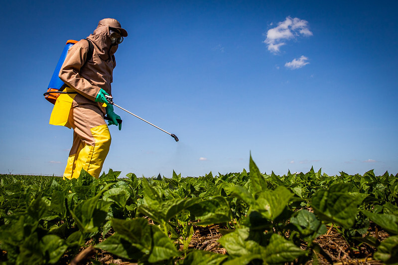 Trabalhador aplica defensivo agrícola em plantação