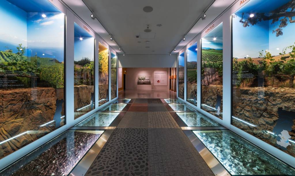 O sucesso da nova “Disney” cultural na Europa para os amantes de vinho