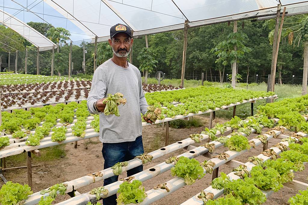 2a D (3) CUIABÁ – PERSONAGEM AGRICULTOR LUCINDO 1.jpg 2a D (3) CUIABÁ – PERSONAGEM AGRICULTOR LUCINDO 1.jpg