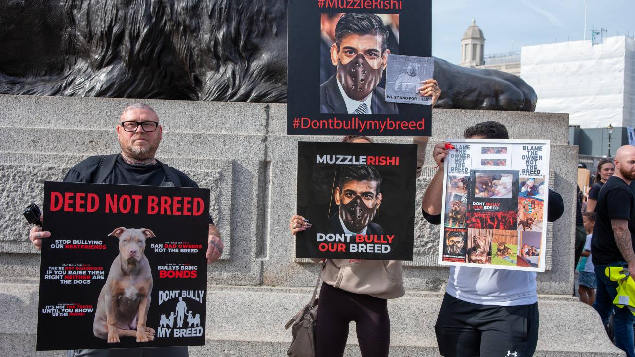Britânicos protestam contra a proibição de cães da raça American Bully, em Londres, na Inglaterra. 07/10/2023