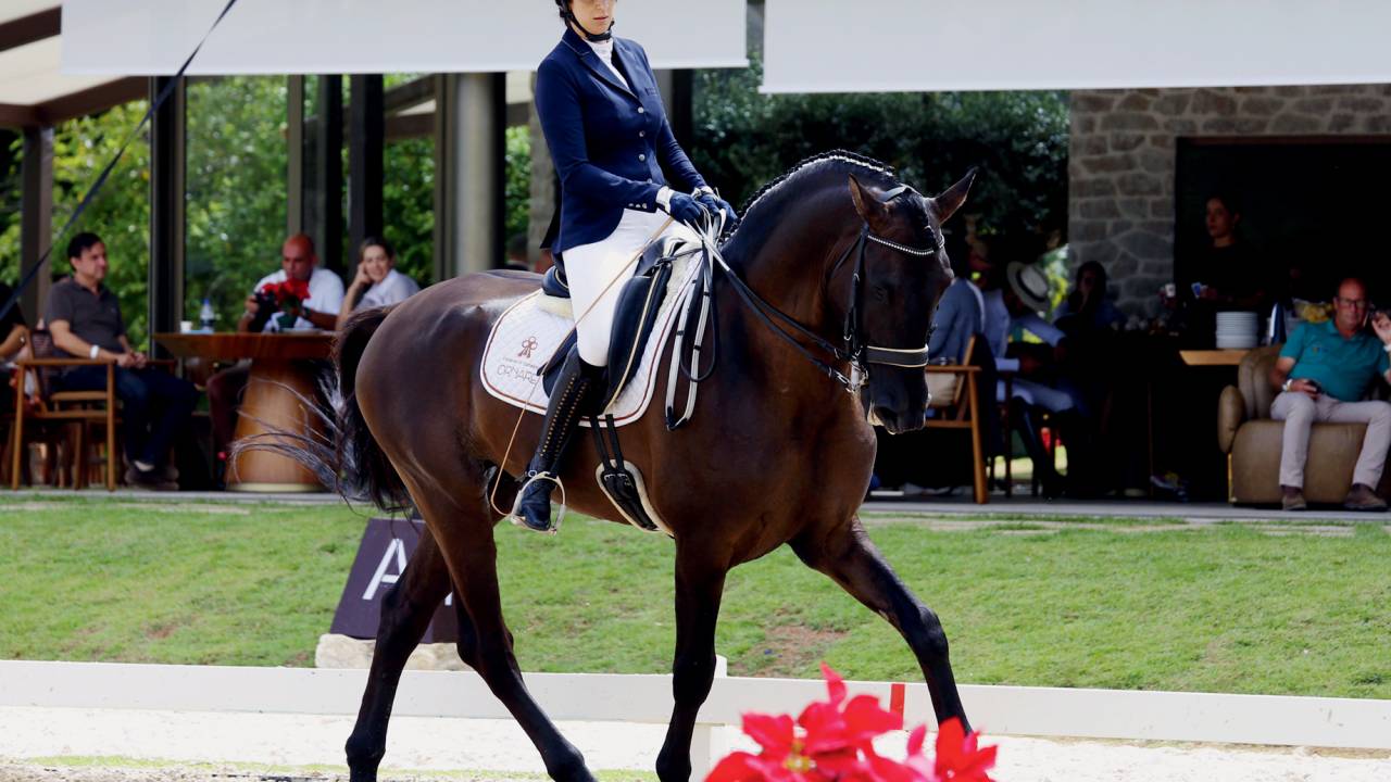 CALMA E PLACIDEZ - A arquiteta Fernanda Negrelli, de São Paulo, apaixonada pelo dressage: “Parecem cavalos de reis”