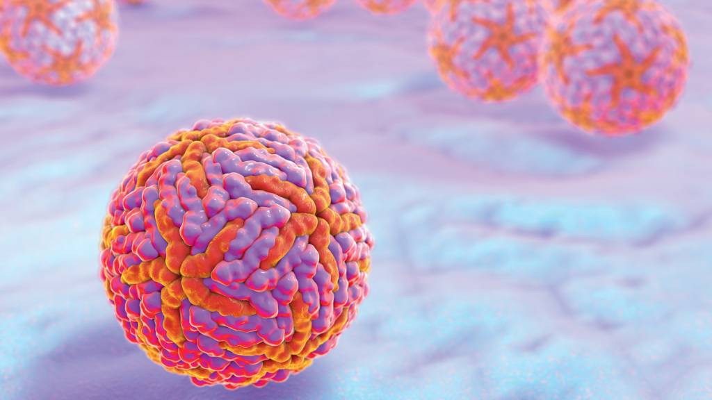 Nova vacina contra zika vírus é bem-sucedida em testes