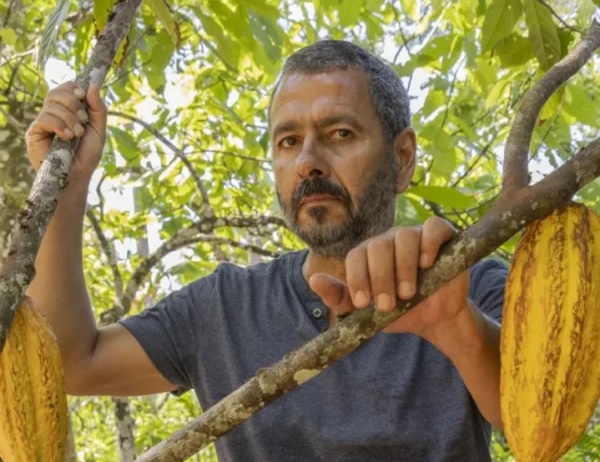 Marcos Palmeira -