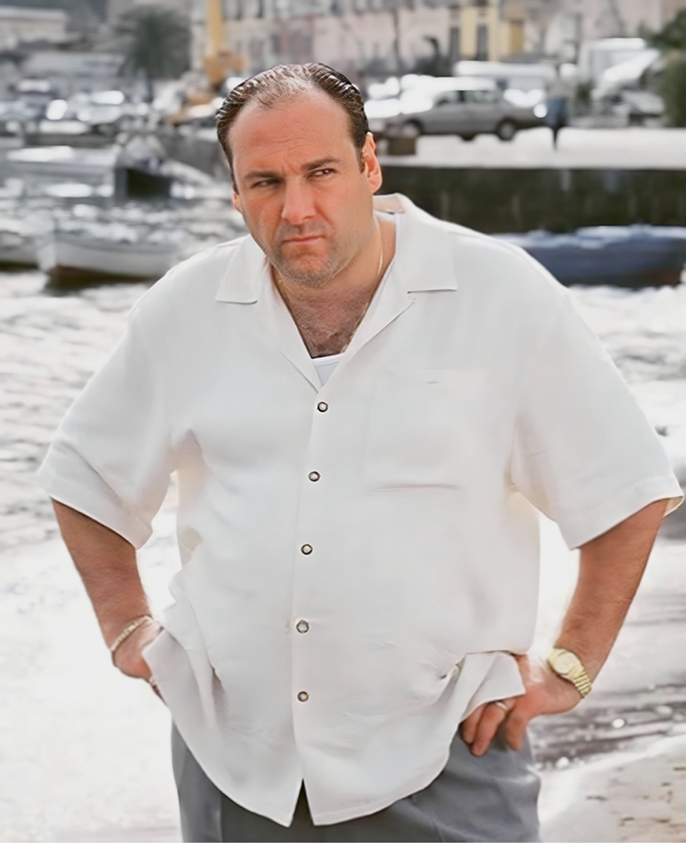 (apoio-2)-instagram-IMG_4142.JPG ...É ASSIM - Tony Soprano, vivido por James Gandolfini: na versão masculina, há alguma (falsa) discrição