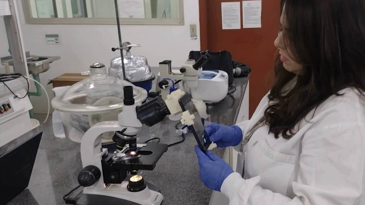 Ana Carolina Borges monteiro, biomédica, que desenvolveu o hemograma digital na pós graduação da Unicamp