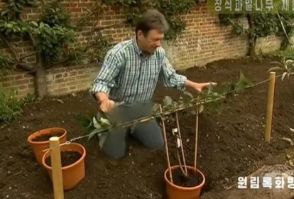 Imagens do apresentador de programa de jardinagem da BBC, Alan Titchmarsh, foram alteradas para esconder os jeans em transmissão da TV estatal norte-coreana. -