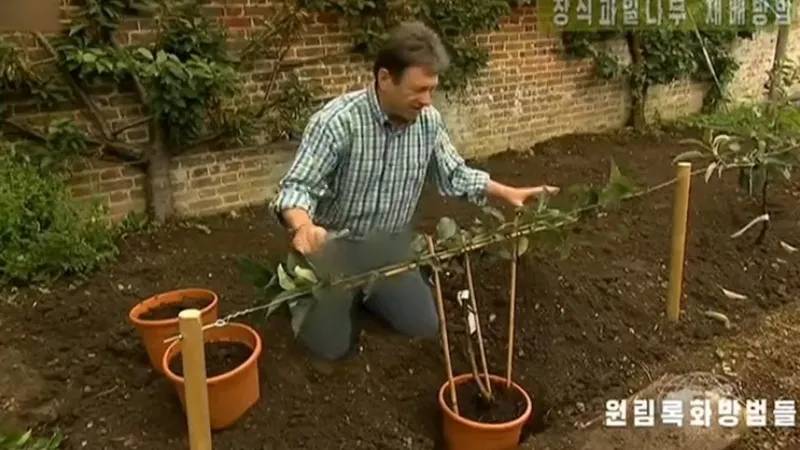TV norte-coreana ‘censura’ calça jeans de apresentador britânico
