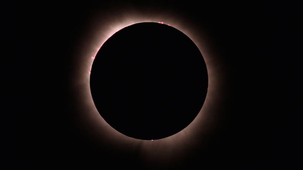 Festança no escurinho: os efeitos do eclipse total do Sol