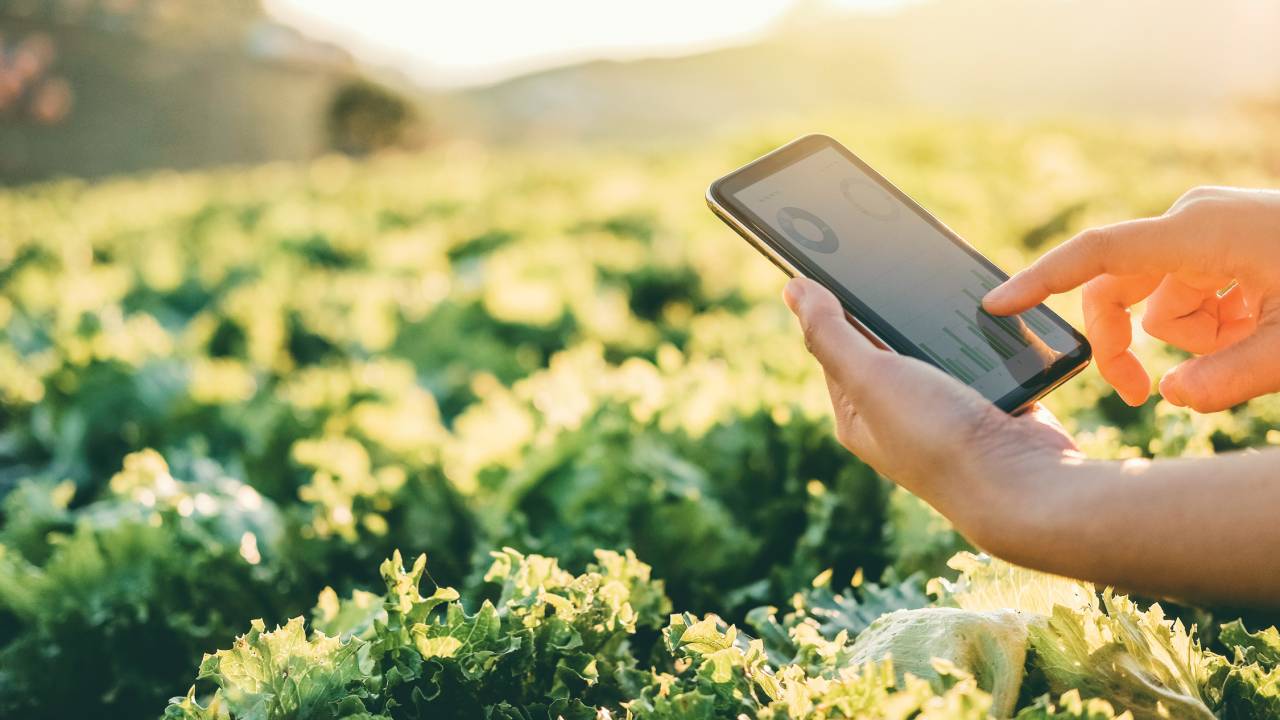 NA PALMA DA MÃO - Tablet na lavoura: equipamentos modernos impulsionam a produtividade