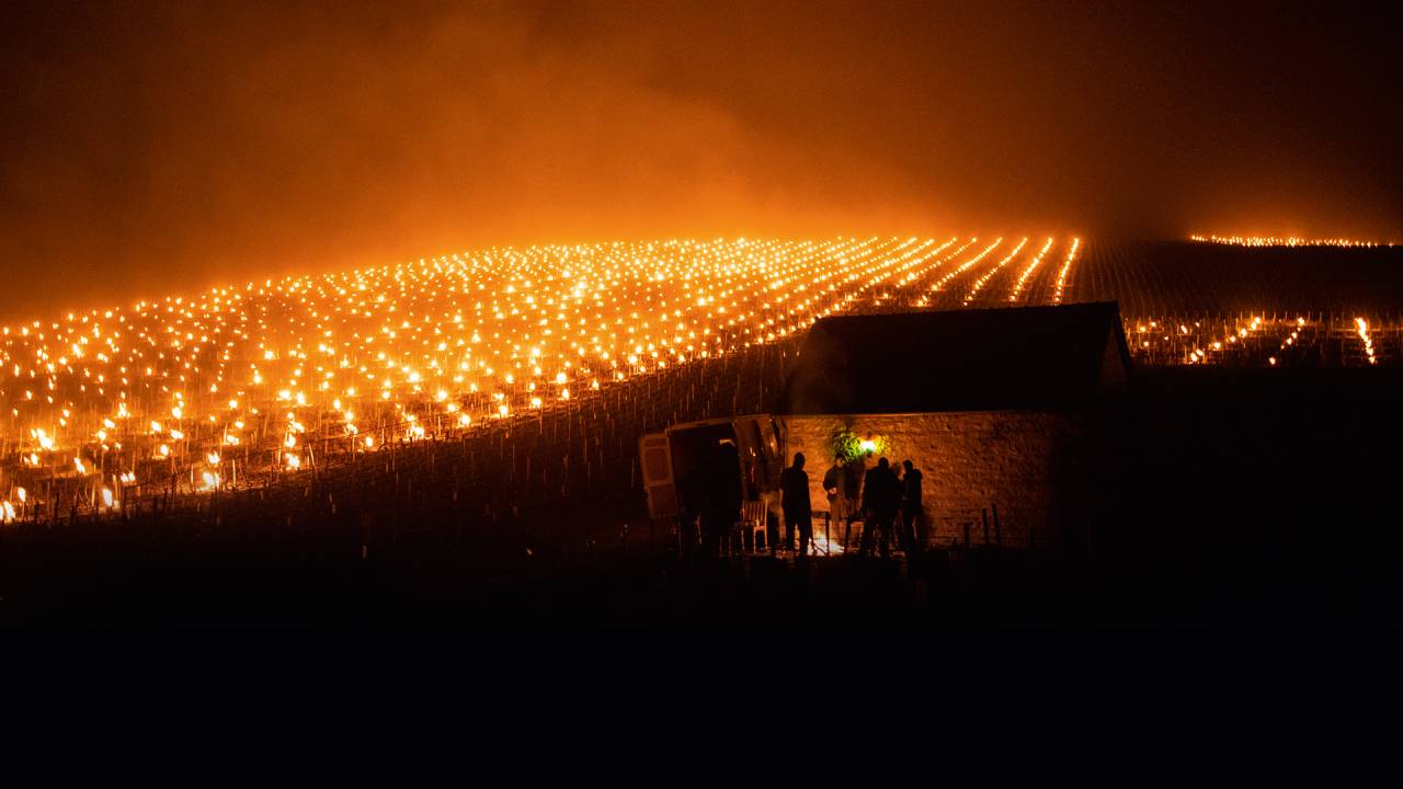 EXTREMOS - Geada em Chablis, na França, em 2022: fogueiras para preservar os vinhedos