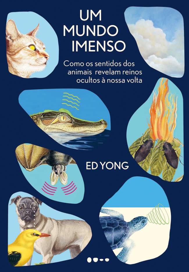 UM-MUNDO-IMENSO.jpg Um Mundo Imenso, de Ed Yong (tradução de Christian Schwartz; Todavia; 544 páginas; 129,90 reais e 76,90 reais em e-book)