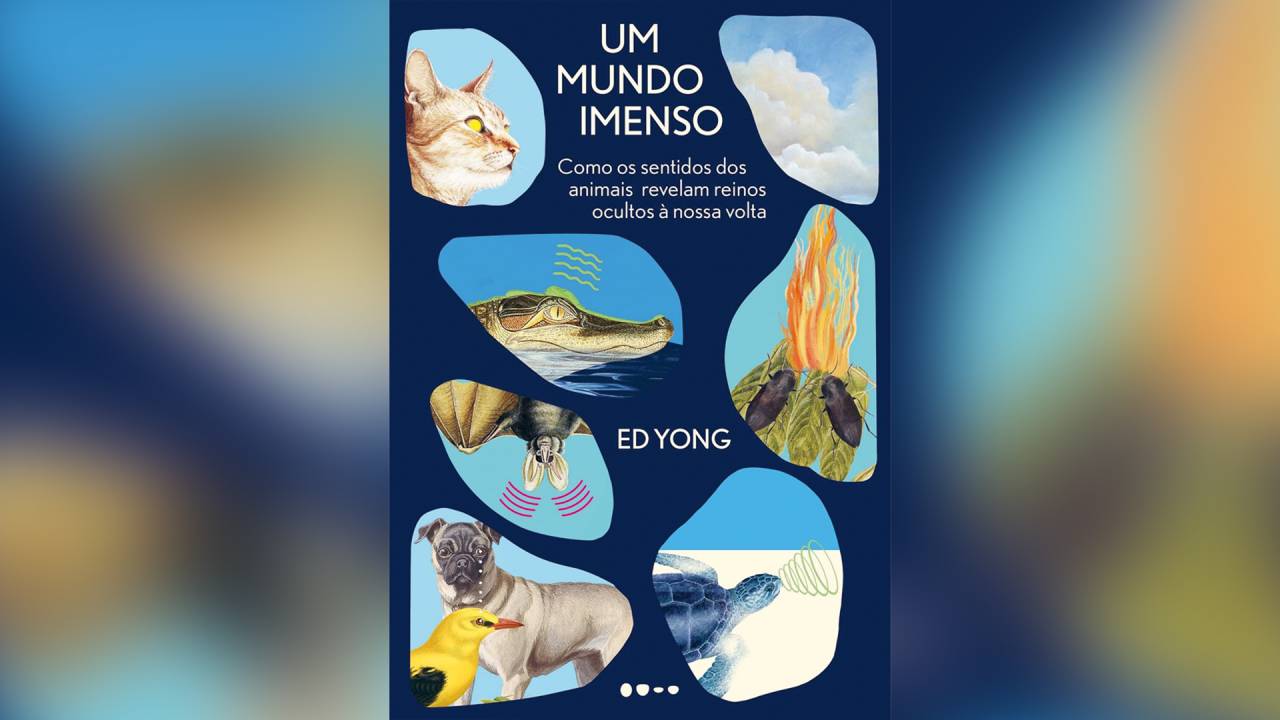 Um Mundo Imenso, de Ed Yong (tradução de Christian Schwartz; Todavia; 544 páginas; 129,90 reais e 76,90 reais em e-book)