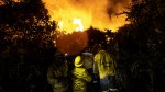 Paraíso ameaçado: incêndios devastam Pantanal com intensidade inédita