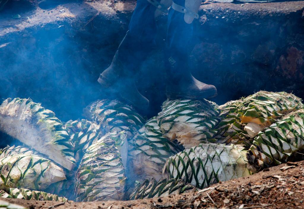 2PKH3HG_fotoarena.jpg ARTESANAL - Defumação do agave: processo de preparo do mescal