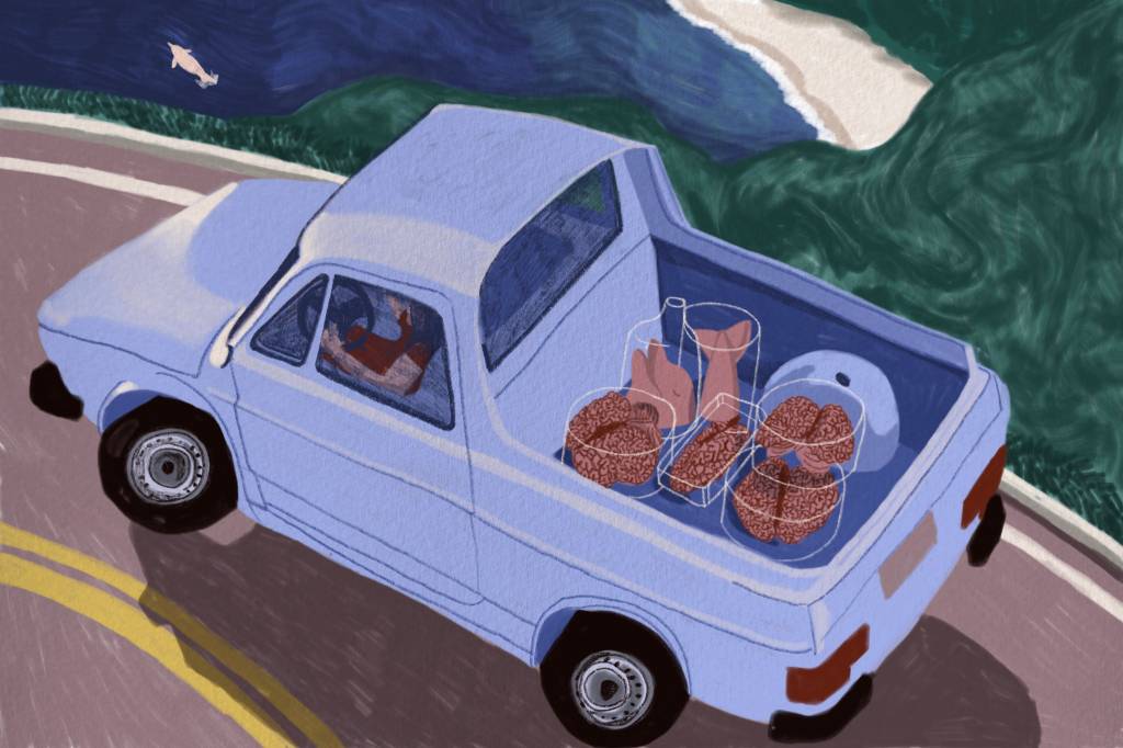 Saiba o que está por trás de uma geladeira cheia de cérebros de golfinhos