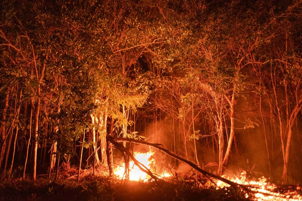 GettyImages-1742585595.jpg Incêndio florestal: poluição e mais doenças respiratórias