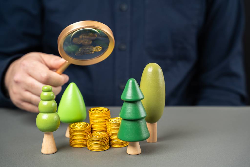 Inovação em Finanças: os Green Bonds