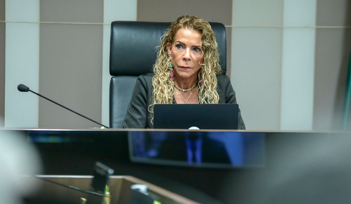 A procuradora-geral do Ministério Público junto ao Tribunal de Contas da União, Cristina Machado da Costa e Silva