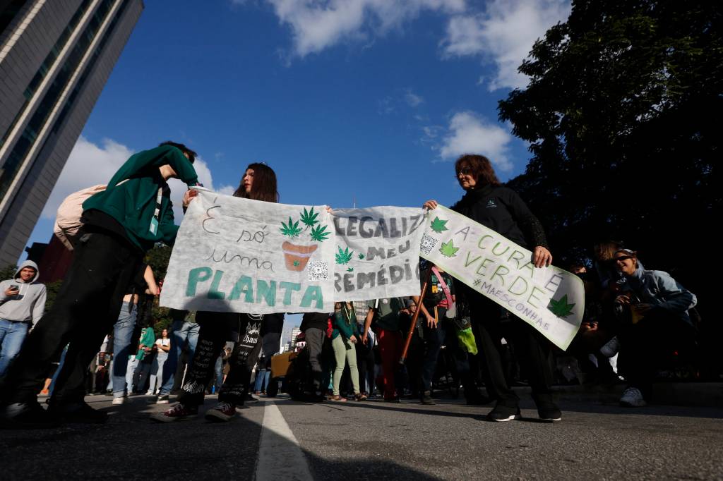 Com Brasil, 16 países americanos já descriminalizam porte de maconha