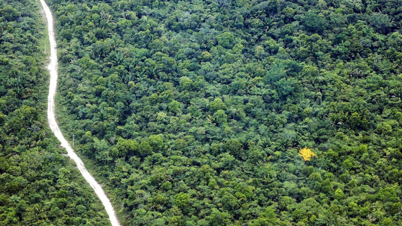 Pará
