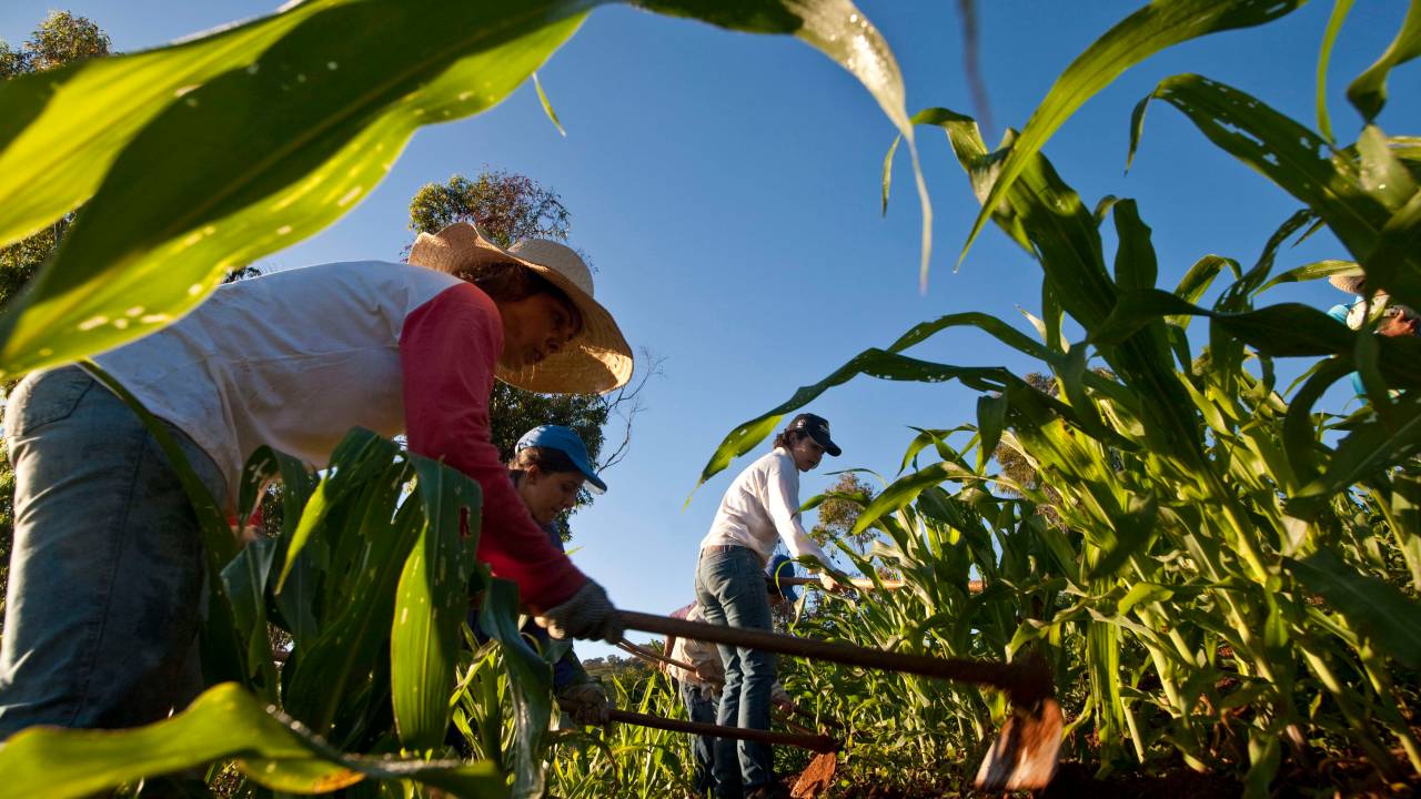 agricultura familiar - agricultura - agricultores