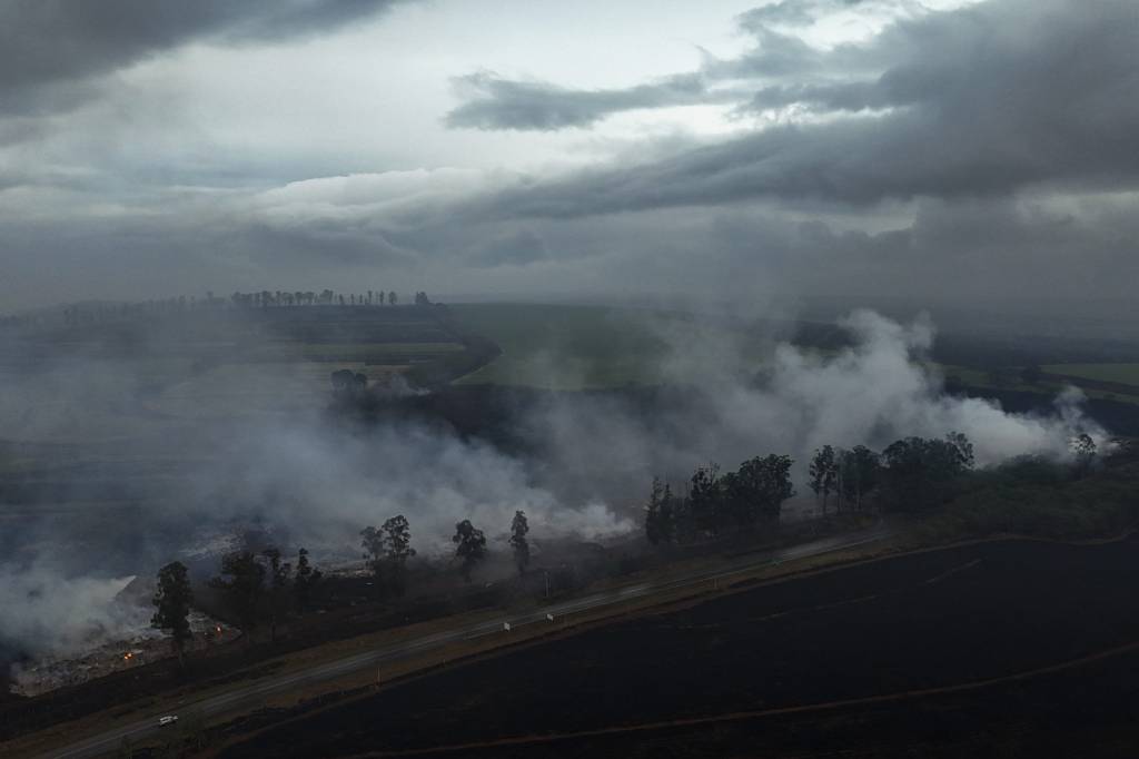 A ignorância ambiental arde mais do que o fogo