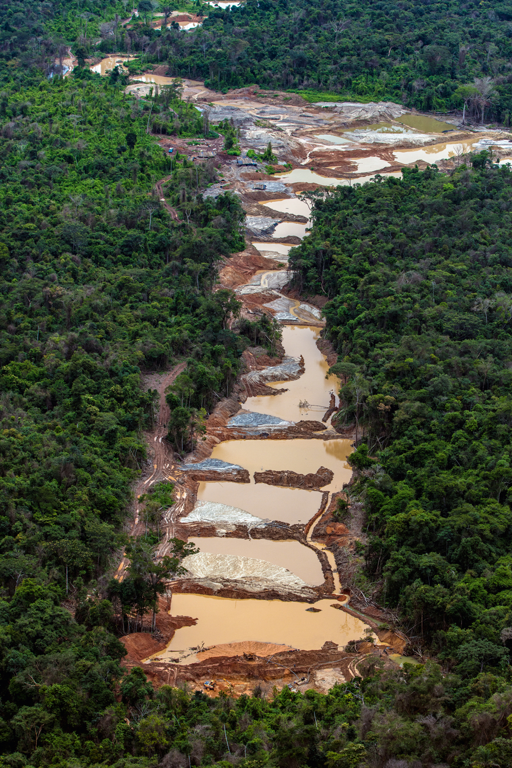 GP0STVUA5_PressMedia-(2500px).jpg DESTRUIÇÃO - Desmatamento: escavadeiras abrem espaço para garimpo ilegal