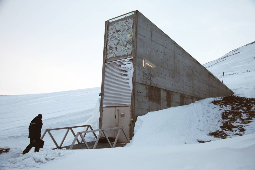 GettyImages-1247553474.jpg NA NORUEGA - Banco de sementes: ameaçado pelo aquecimento global