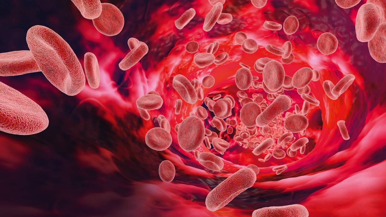 BIOMARCADORES - Pistas circulando: técnicas permitem caçar de proteínas a fragmentos de DNA de um tumor