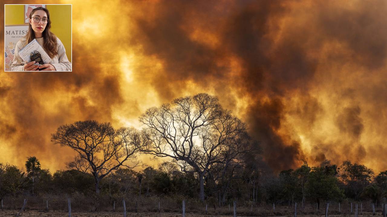 REPORTAGEM - Fogo no Cerrado e a repórter Amanda Péchy: relato minucioso da seca