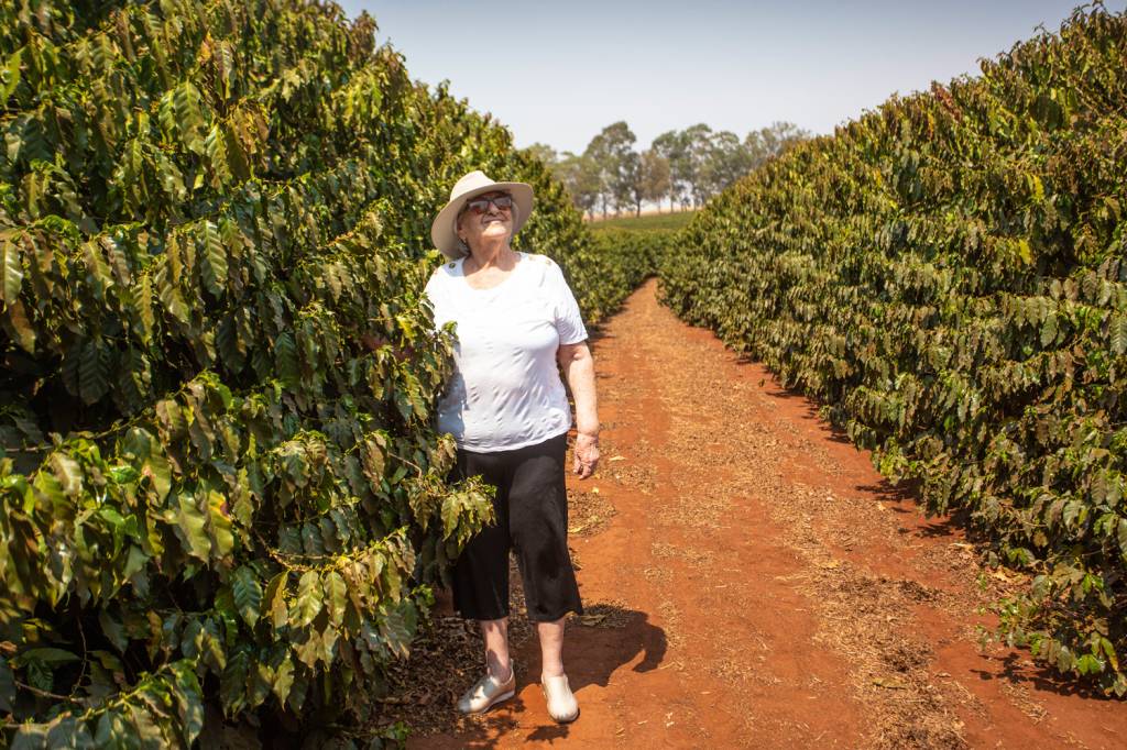 2D-(2)-A63A1813.JPG CALOR QUE NÃO PASSA - Dona de um cafezal em Trabiju, São Paulo, Maria Elvira, 88 anos, calcula perdas superiores a 60% na próxima safra. “A temperatura está tão alta que nem mesmo a irrigação consegue dar conta”, diz.