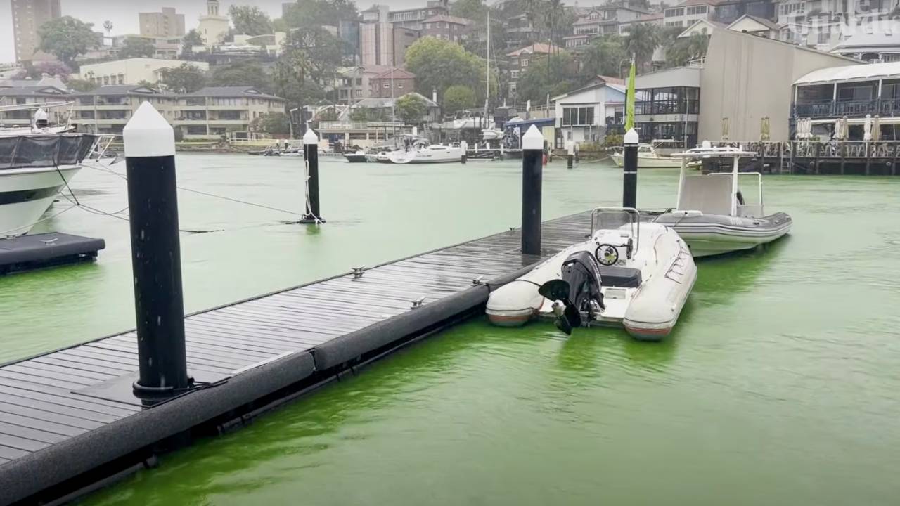 Água do Porto de Sydney fica verde fluorescente após vazamento de corante. 25/09/2024