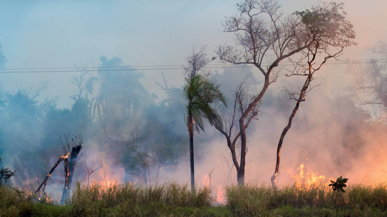 ECONOMIA EM CHAMAS - Incêndio em São Paulo: perdas de 1 bilhão de reais para o agro