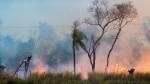 ECONOMIA EM CHAMAS - Incêndio em São Paulo: perdas de 1 bilhão de reais para o agro