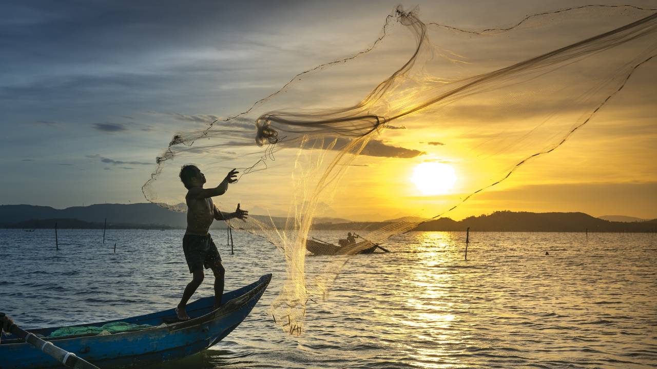 Chefs unem forças para fomentar a pesca sustentável -