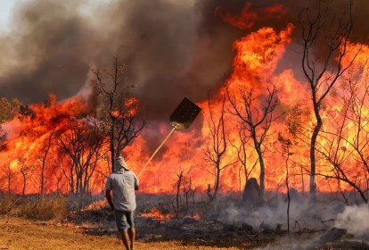 Bombeiros e populares tentam conter as chamas