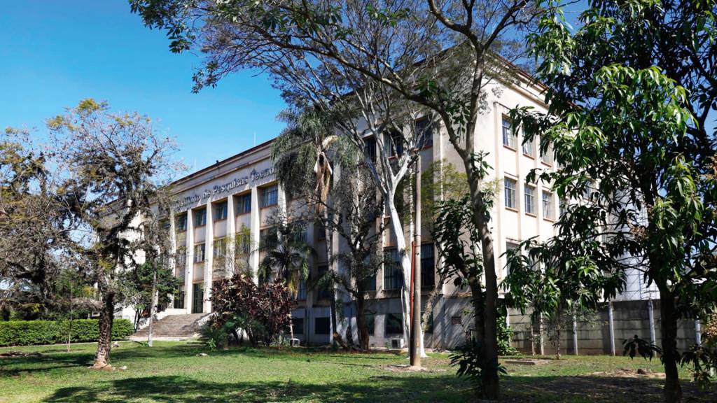 Onde nasce a inovação: IPT abrigará Centro de Engenharia do Google na América Latina