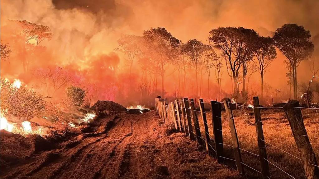 3—PANTANAL—QUEIMADA-2023-11-a-internet.jpg Floresta em chamas: o desmatamento responde por metade das emissões de carbono no país