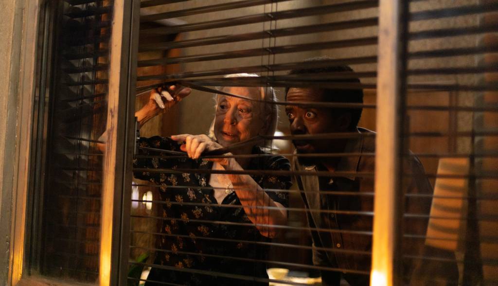 O feito notável de Fernanda Montenegro nas bilheterias com ‘Vitória’