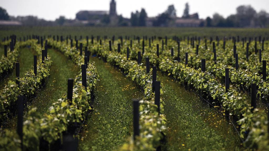 A nova pista que pode levar à solução do mistério da fórmula da Coca-Cola