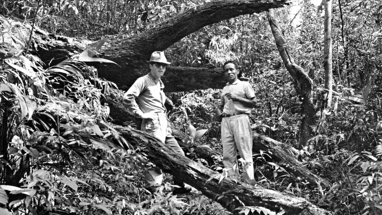 O arquiteto Benedito Lima de Toledo e um companheiro de projetos sobre os vestígios da Calçada do Lorena, na década de 1970