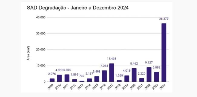 WhatsApp Image 2025-01-24 at 11.14.27 Gráfico mostra área degradada ano a ano