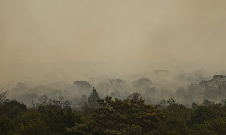 MPF acusa duas pessoas por incêndio em área de reserva ambiental no DF