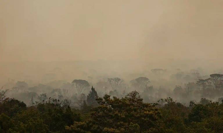 MPF acusa duas pessoas por incêndio em área de reserva ambiental no DF