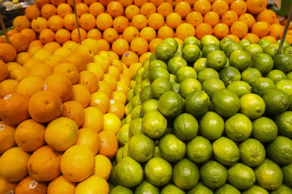 Limão lidera queda de preços dos alimentos em janeiro segundo ipca-15 do ibge