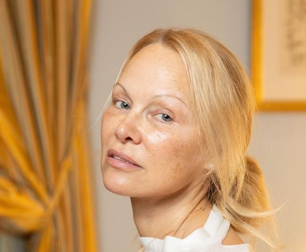 A confusão que quase resultou em agressão a Pamela Anderson